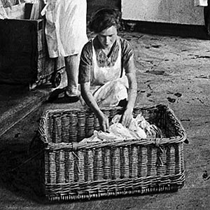 Inside the laundry house