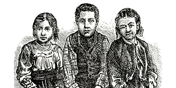 Img Why1