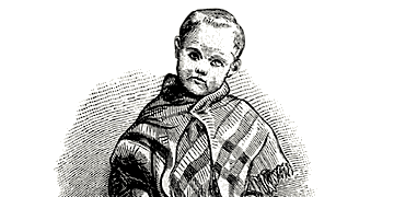 Img Why2